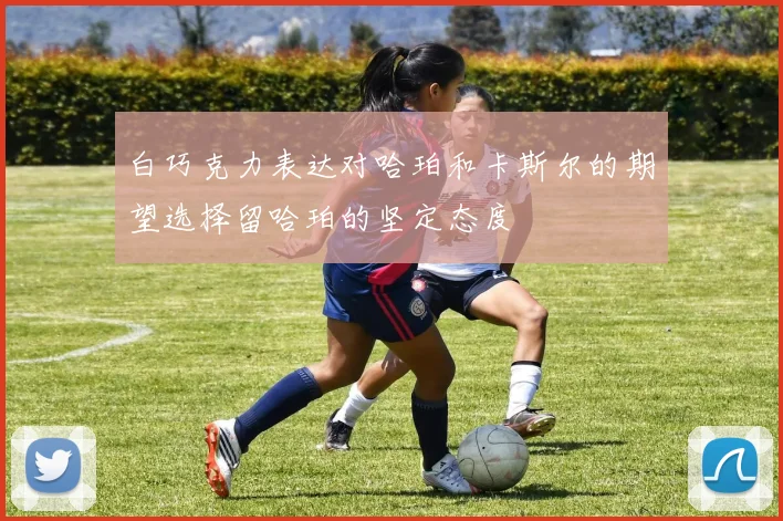 白巧克力表达对哈珀和卡斯尔的期望选择留哈珀的坚定态度
