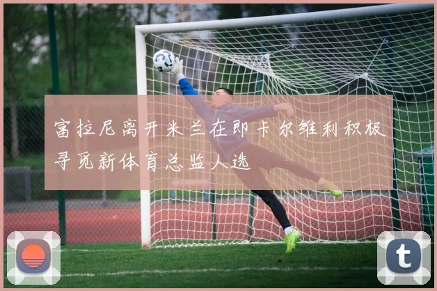 富拉尼离开米兰在即卡尔维利积极寻觅新体育总监人选